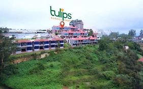 Tulips Resorts - Elkhill